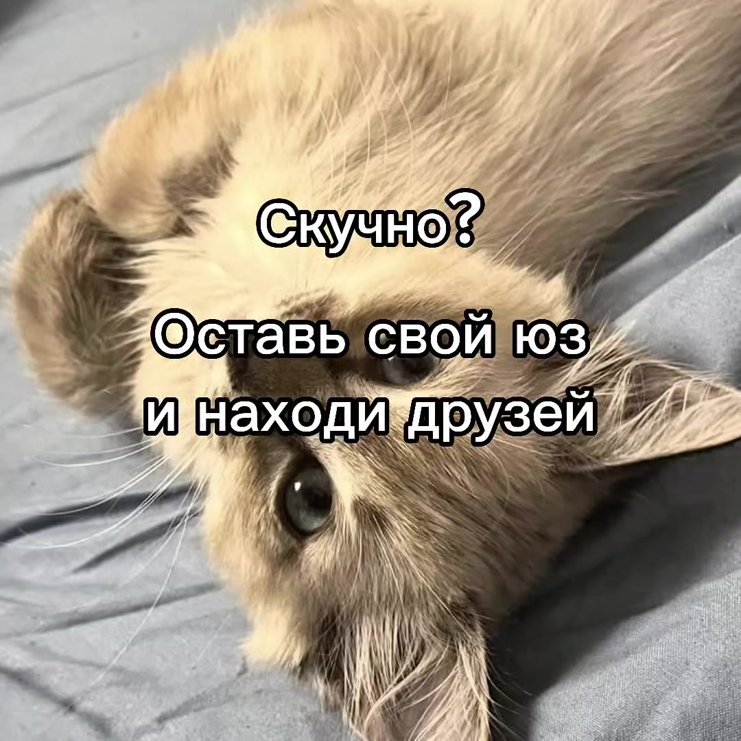 @mivrac