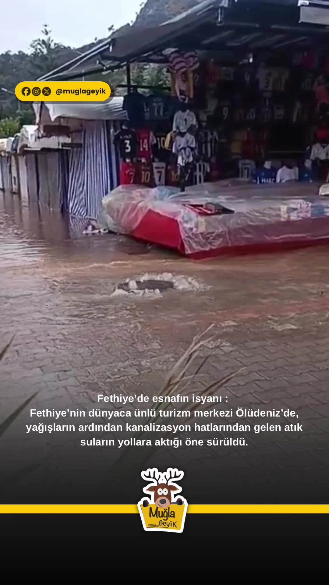 @Muğla Geyik