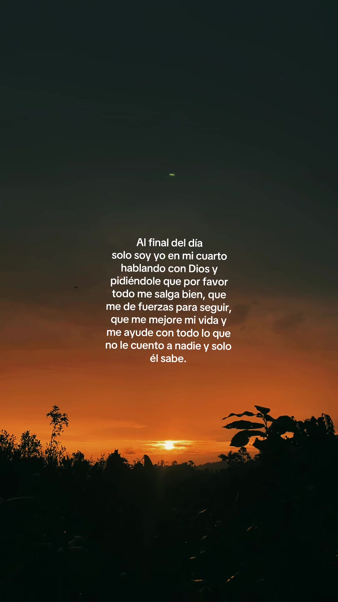 @Evelyn