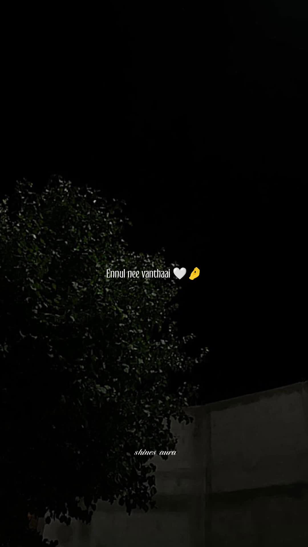 @♡𝓢𝓾𝓷𝓼𝓱𝓲𝓷𝓮&rsquo;𝓼 𝓐𝓾𝓻𝓪♡
