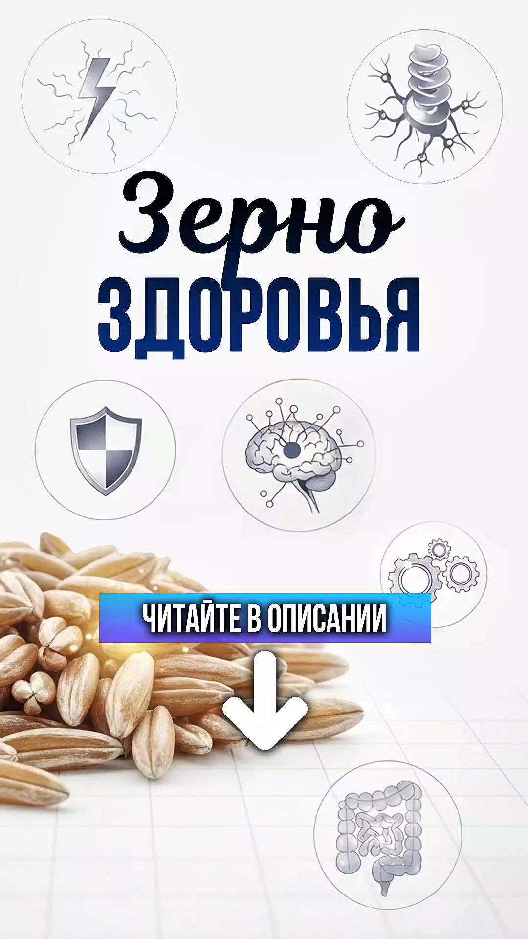 @ЗОЖнавигатор