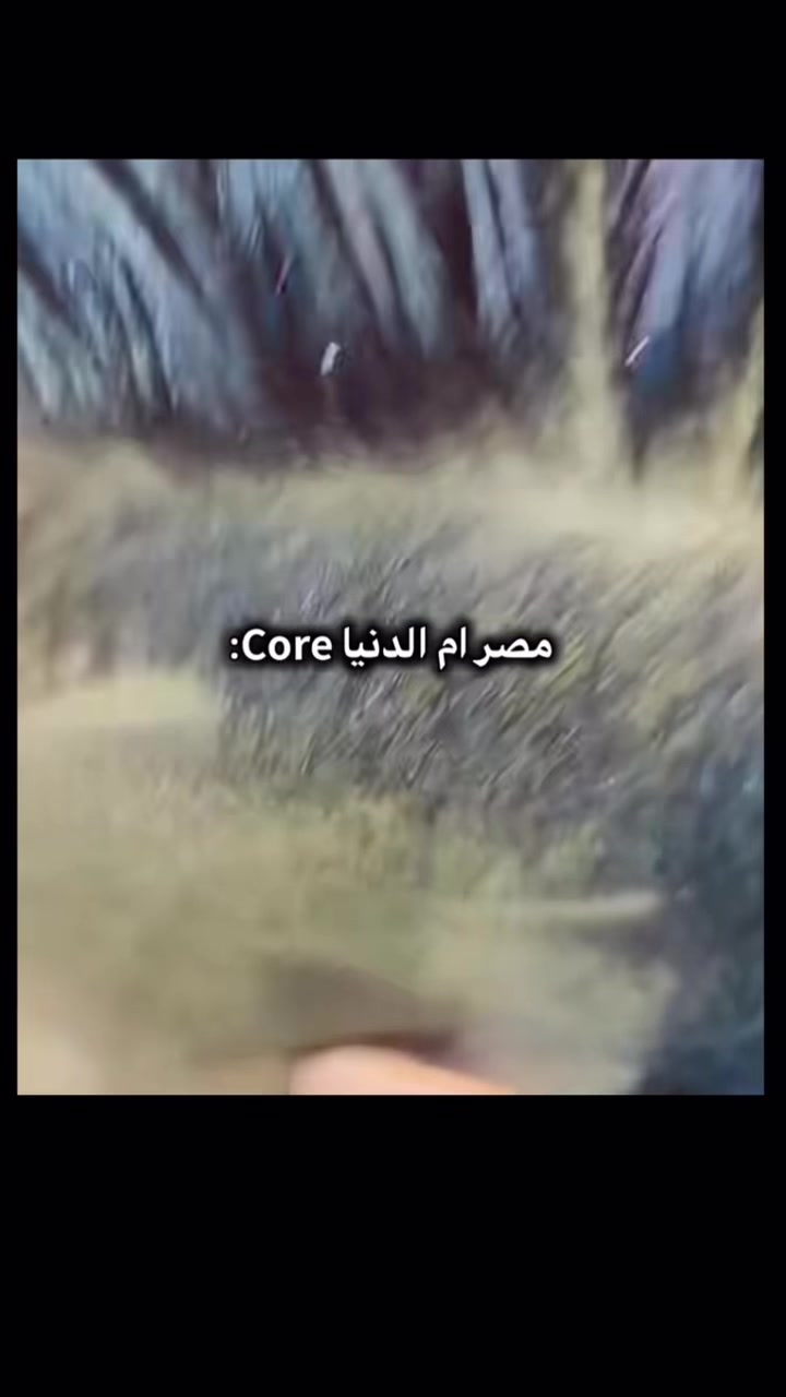 @Egypt reels