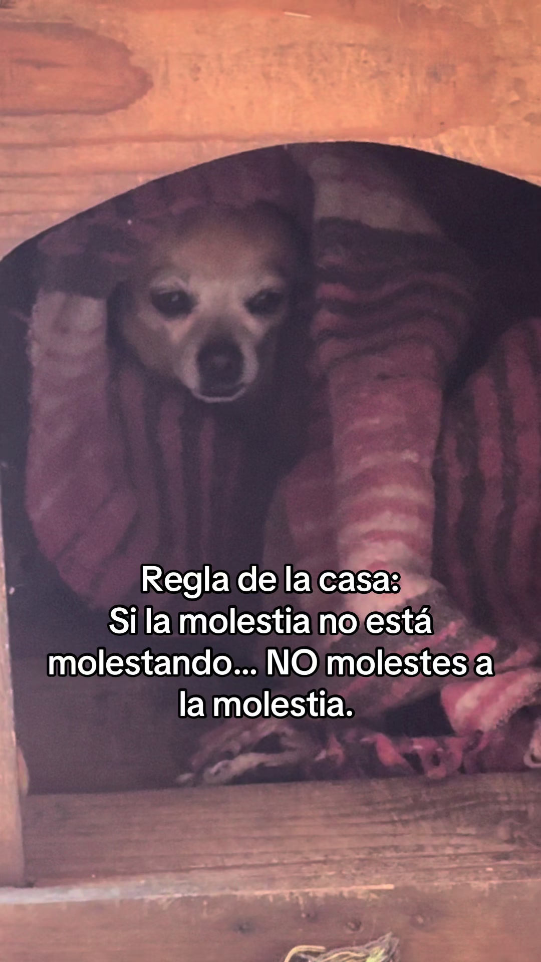 @Laura Puente