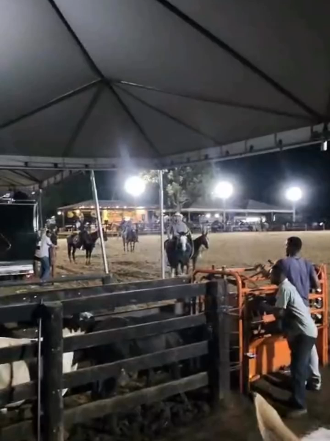 @Team Roping Brasil
