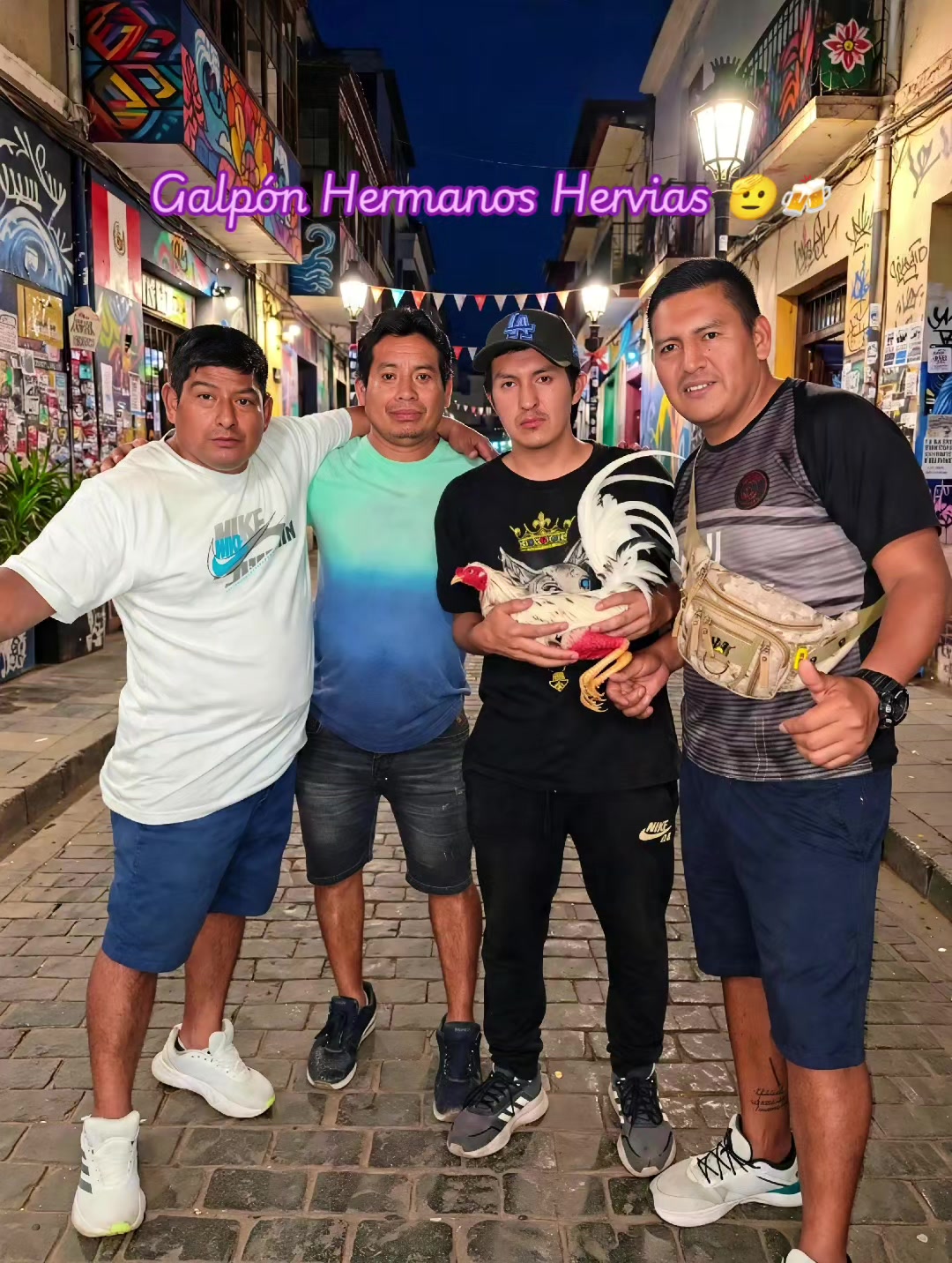 @GALLOS FINOS