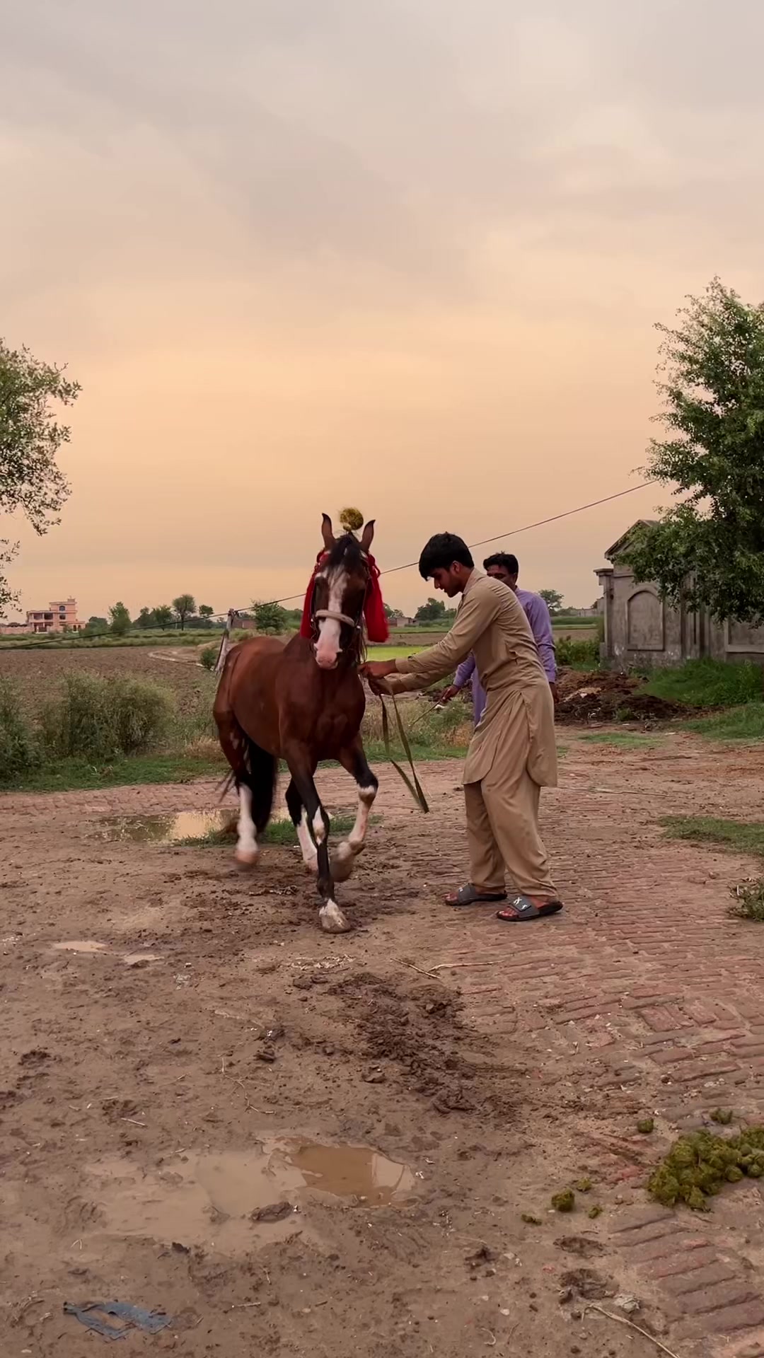 @Ch Fehan Gujjar