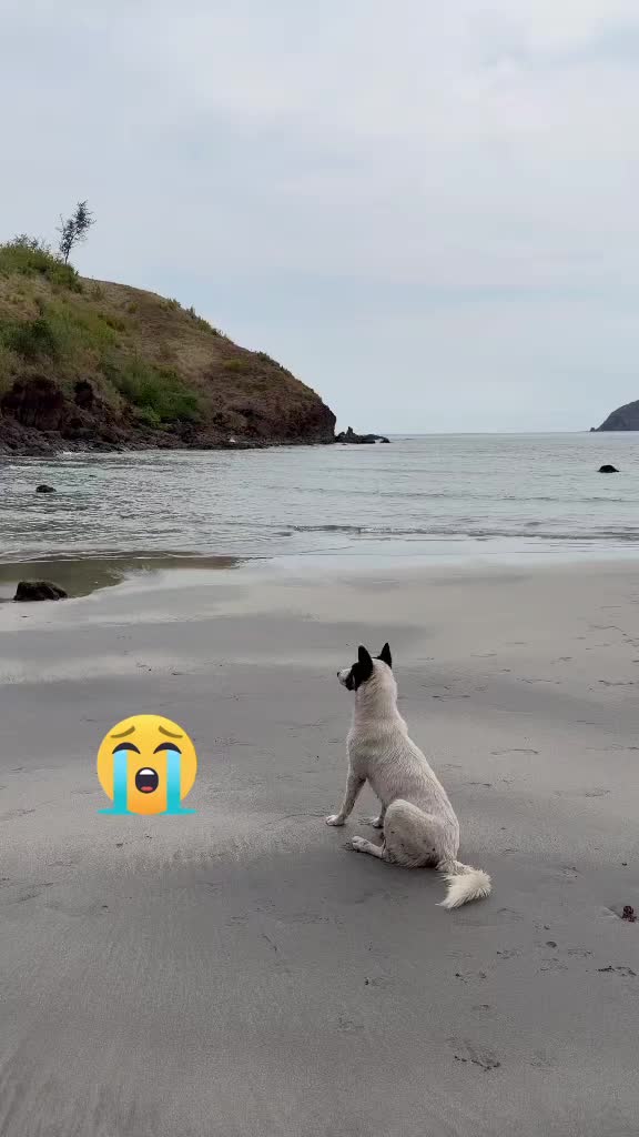 @mylharescues