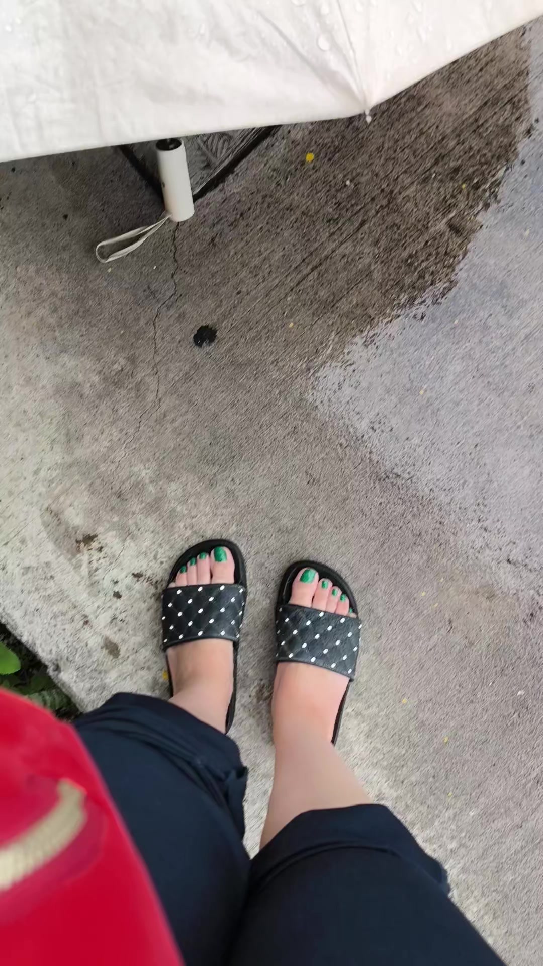 @하스민 에르난데스 💜