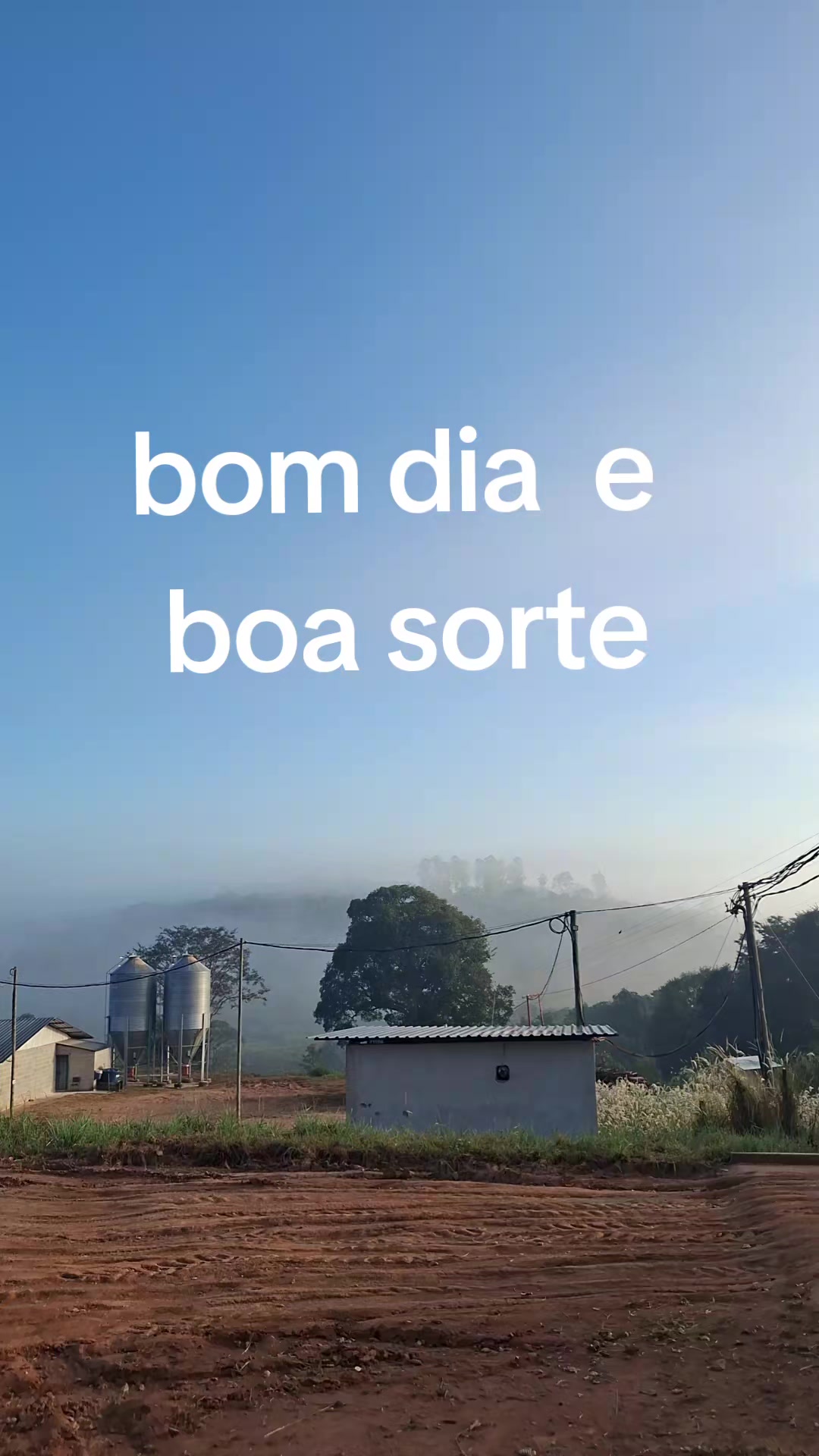 @ELENICECARDOSO