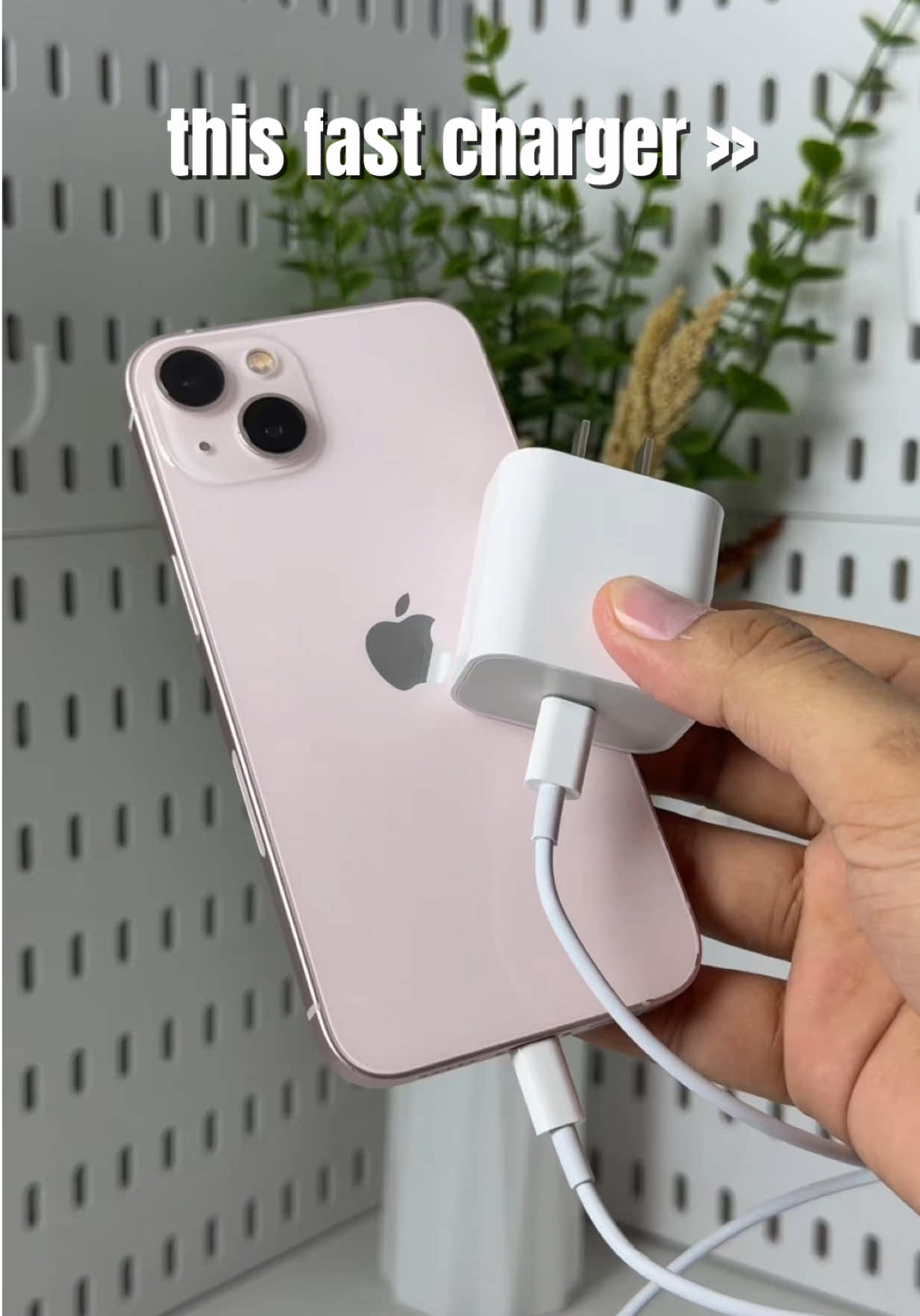 @iPhonary 🩷