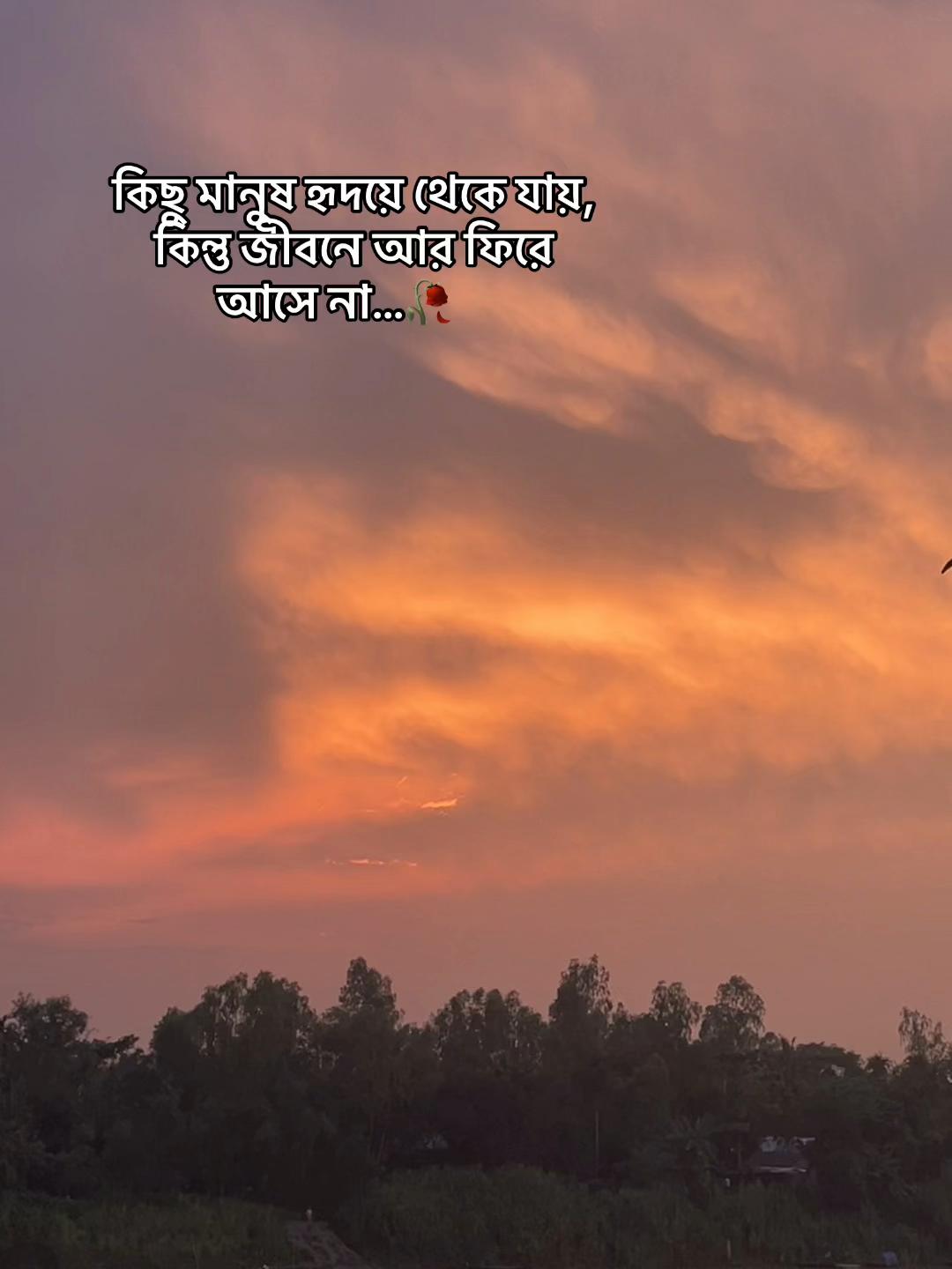 @SHAKIN ALVI 