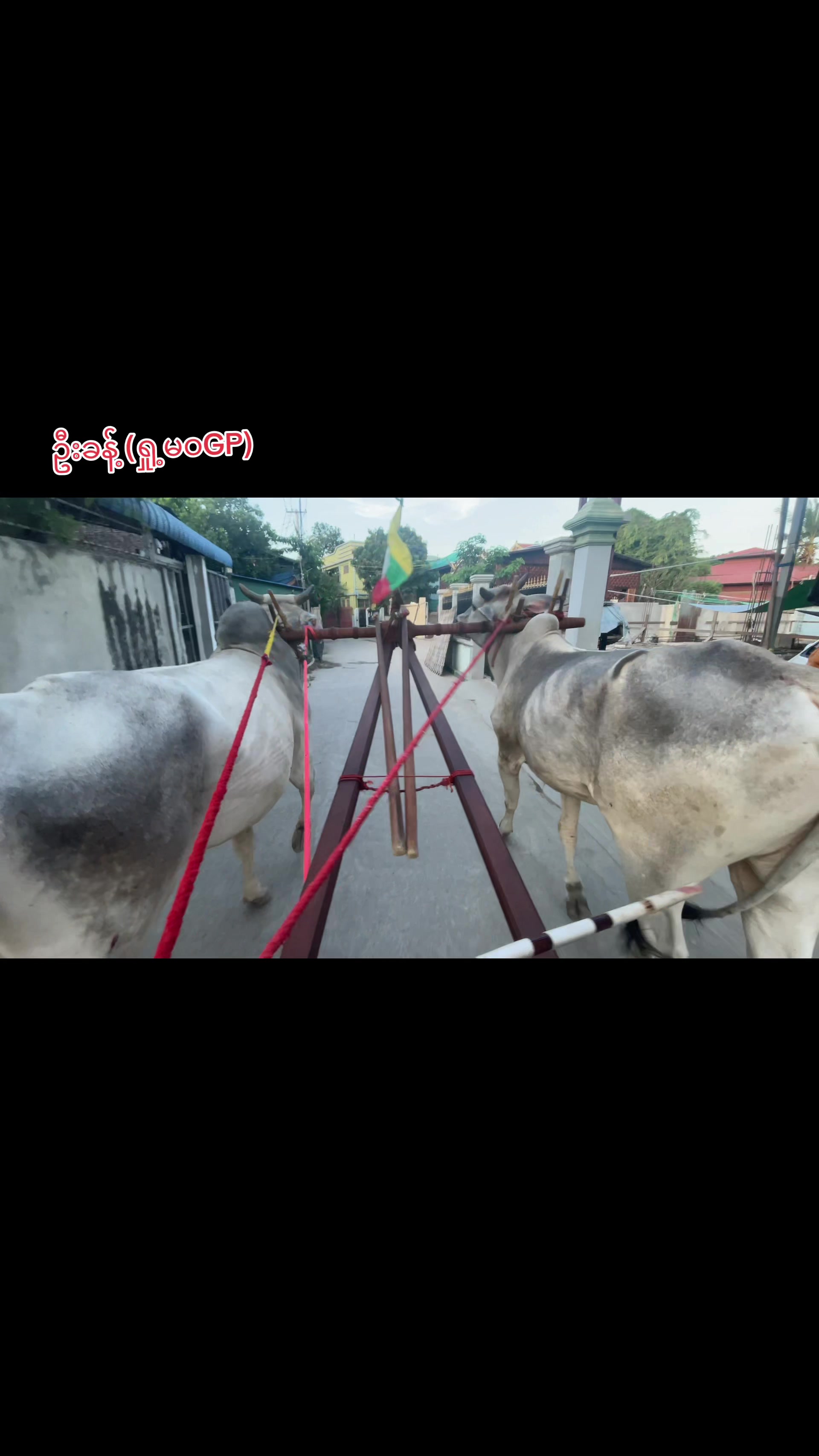 @ဦးခန့်(လက်ပန်ဇင်မြေ)