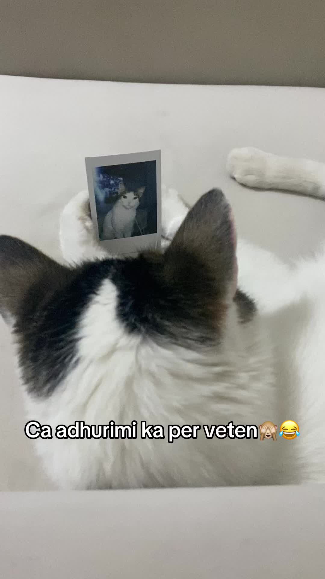 @Kiki