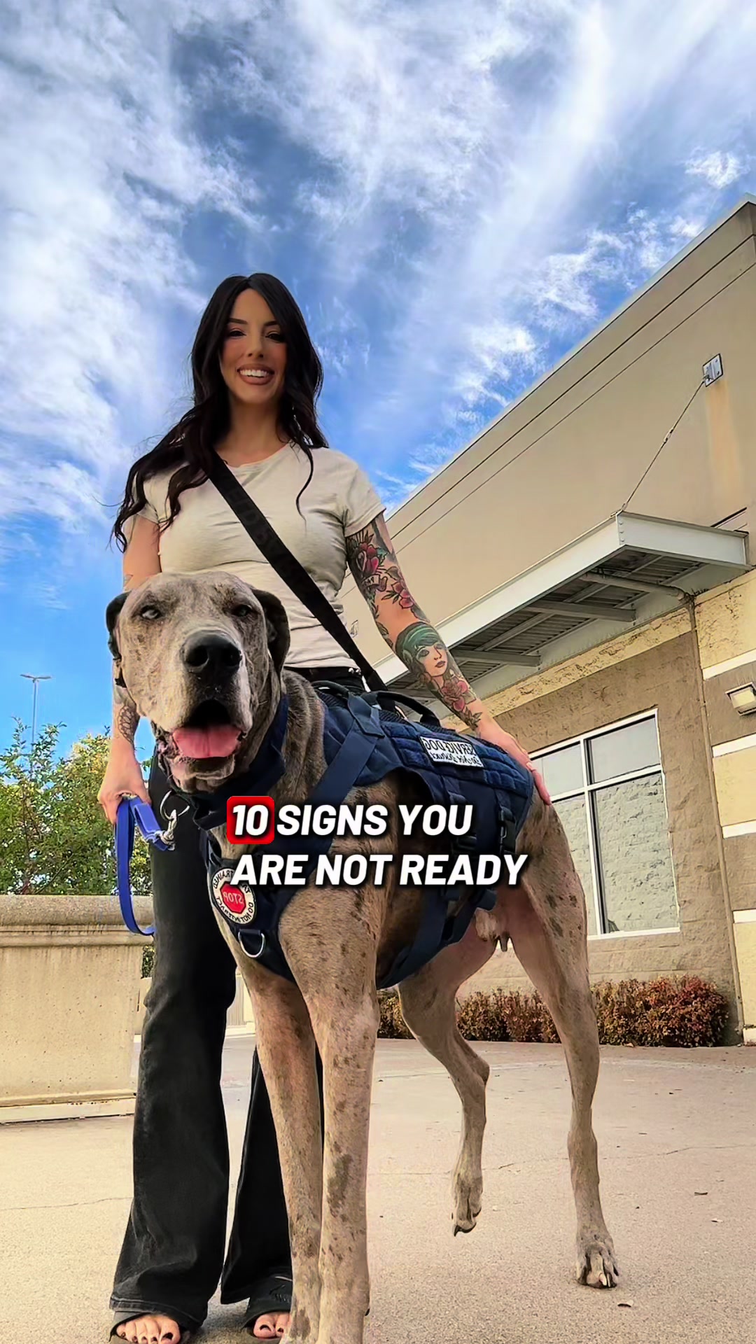 @lex 🐺⛓️