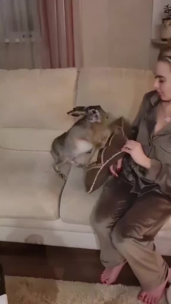 @зайка Блума💋