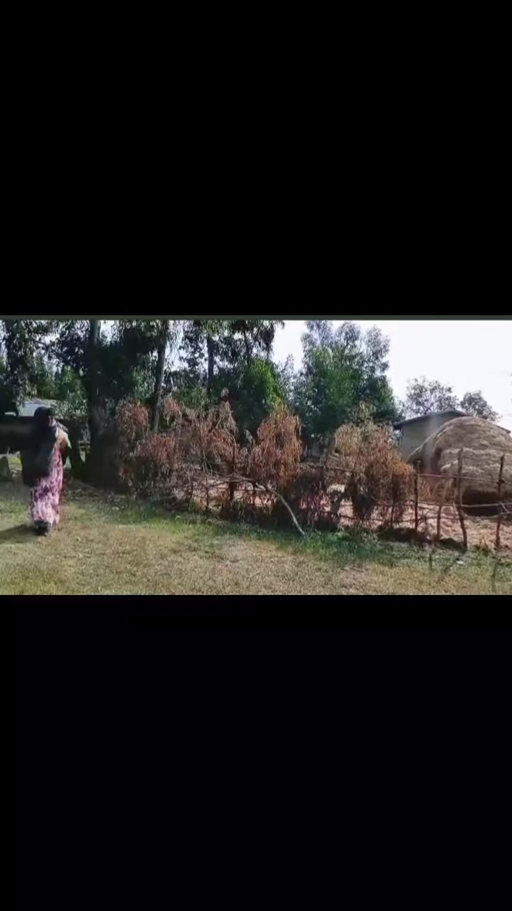 @Neima🫀