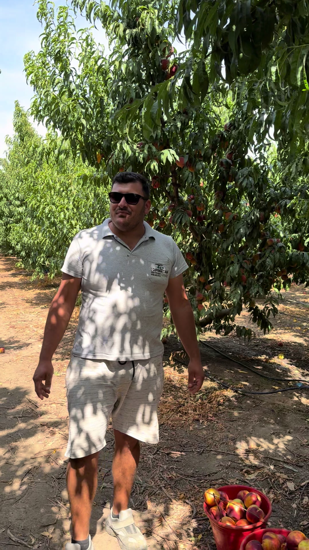 @Hüseyin Şen