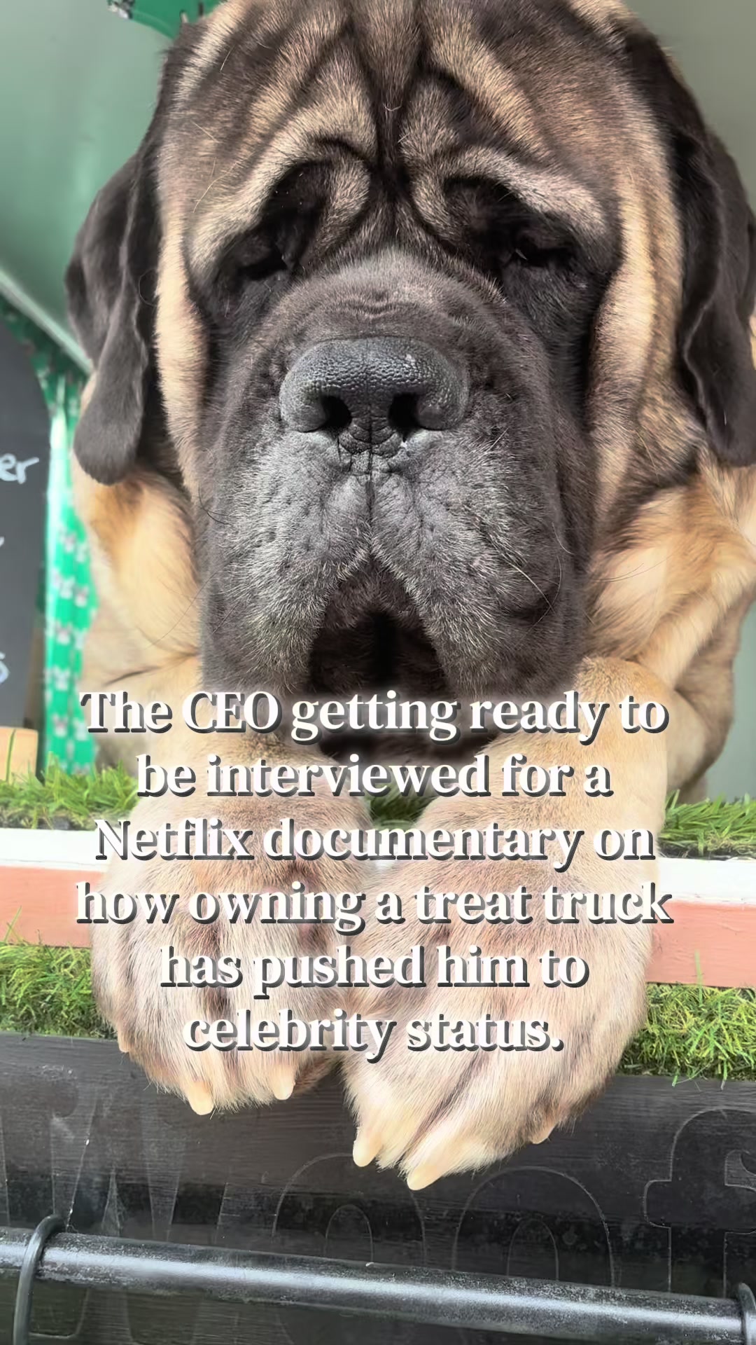 @thetreattruckwa