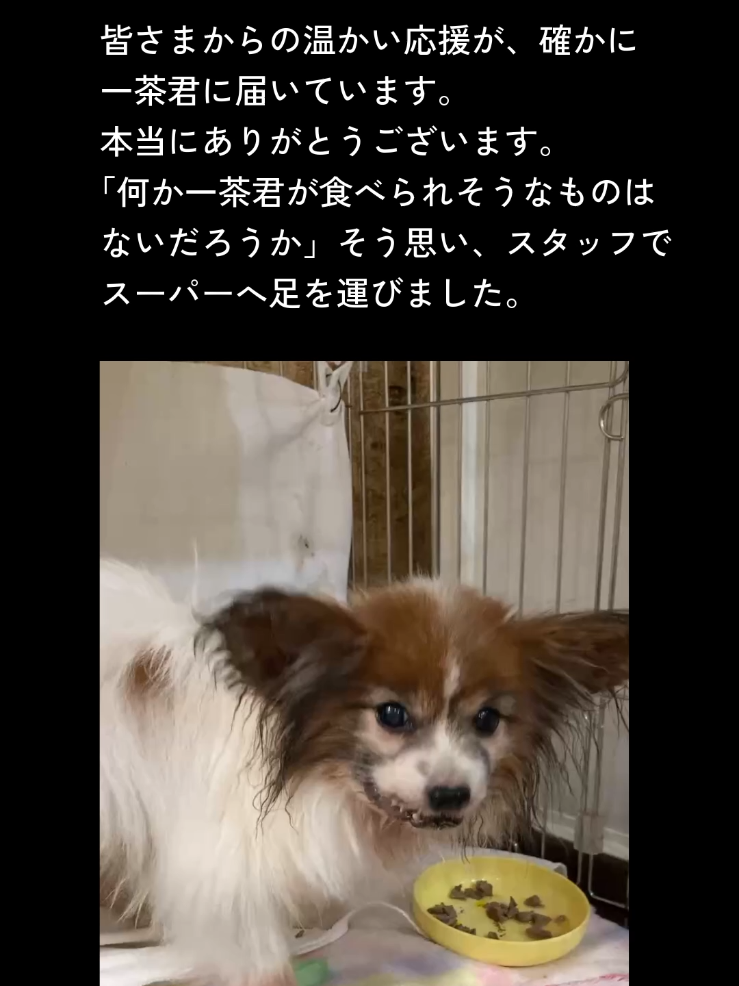 @NPO法人エターナル・ホーム