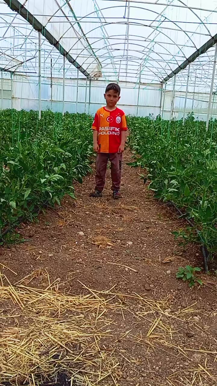 @Oğuz Çelebi480