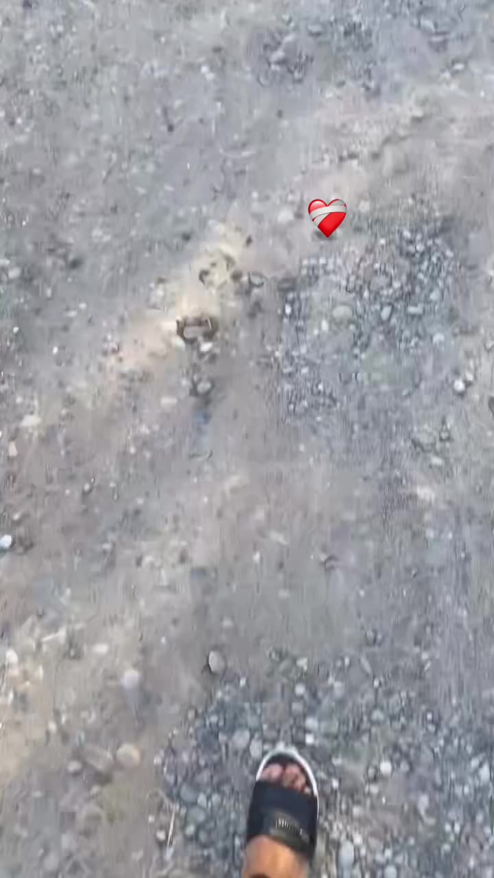 @Ochilov_Яхши_Бола😇