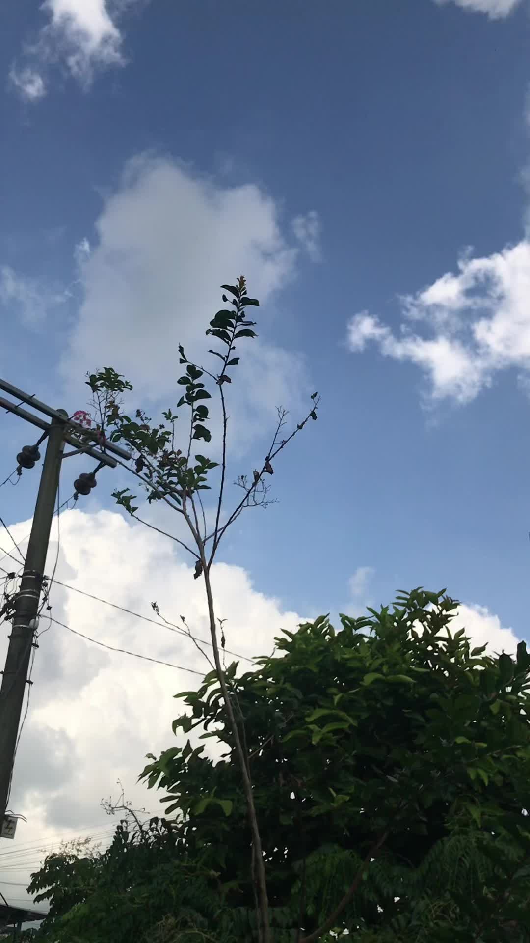 @๐
๐ช๐ฃ๐_