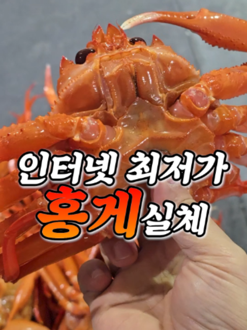 @싱싱헌터스