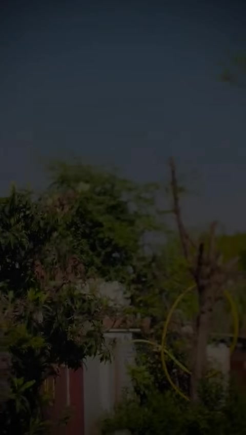 @Tanoli_⚜️