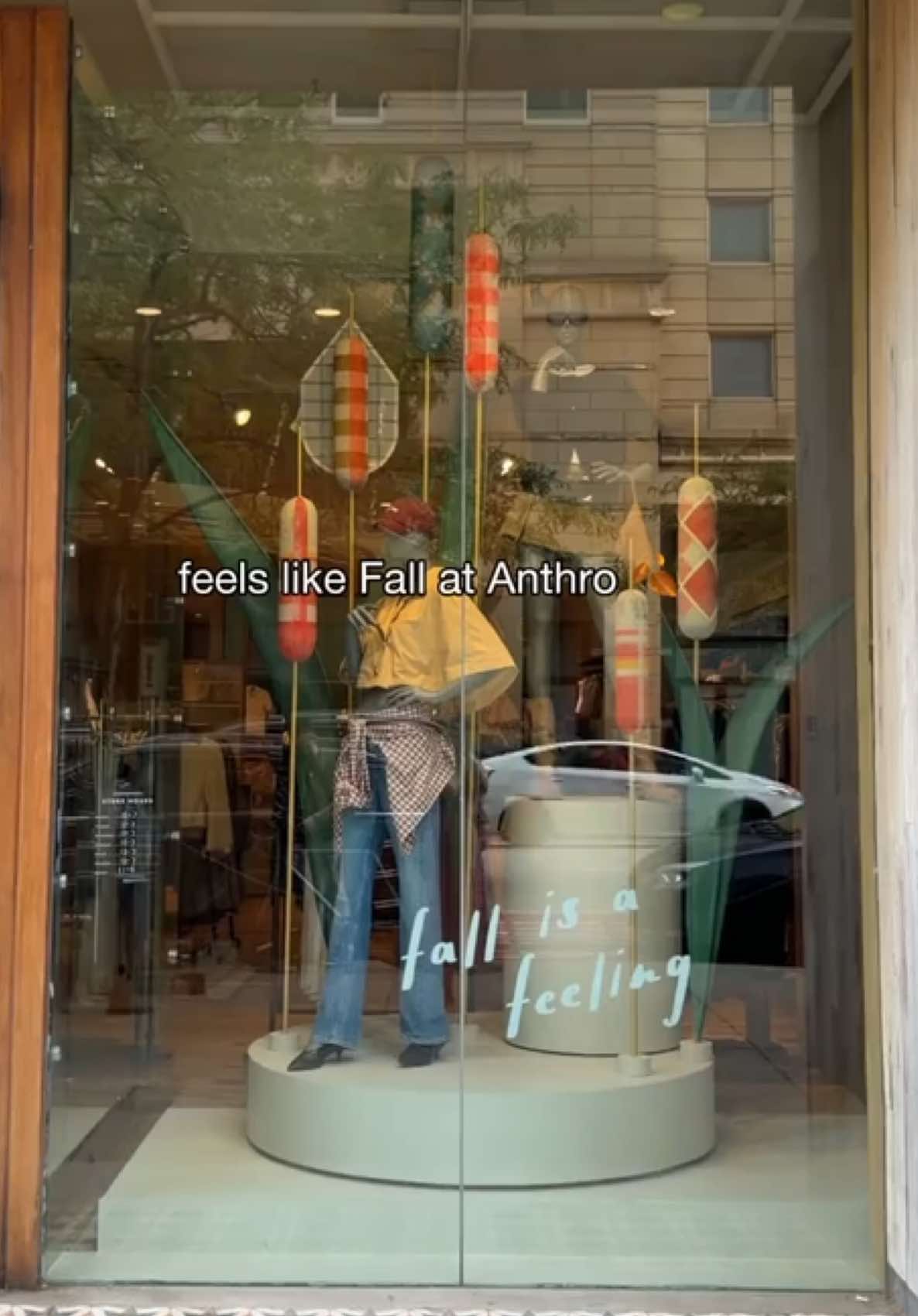 @Anthropologie