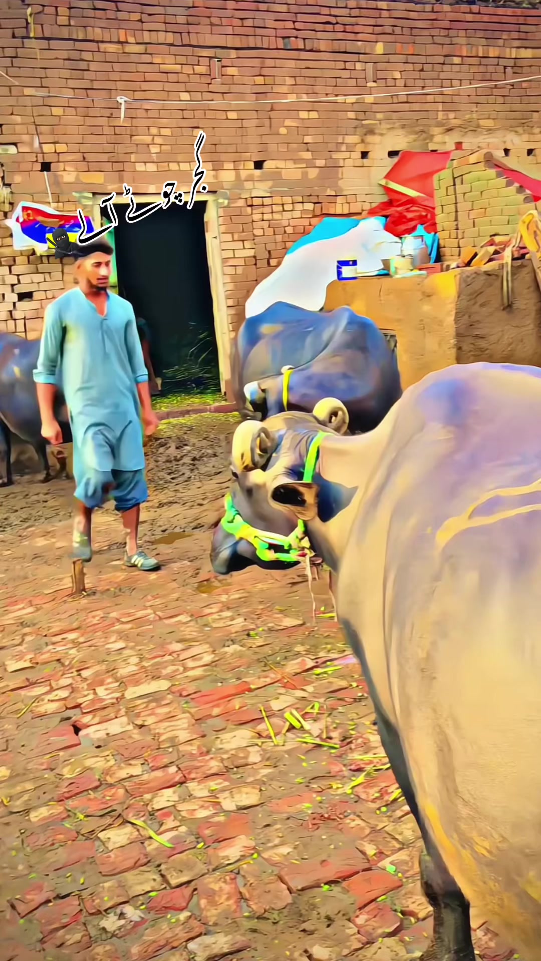 @GUJJAR🥷🏿