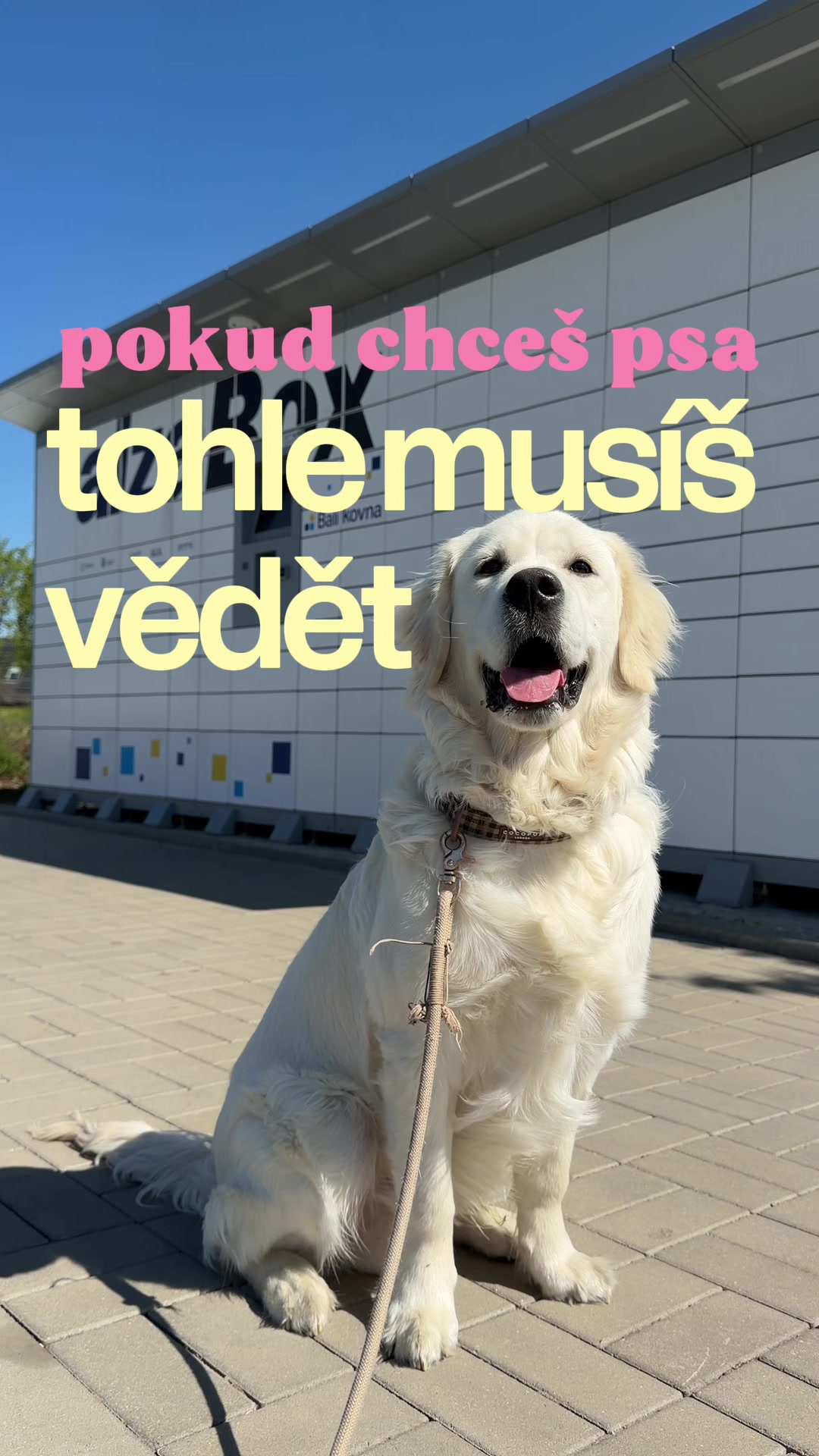 @Krist&yacute;na Nechv&iacute;lov&aacute;