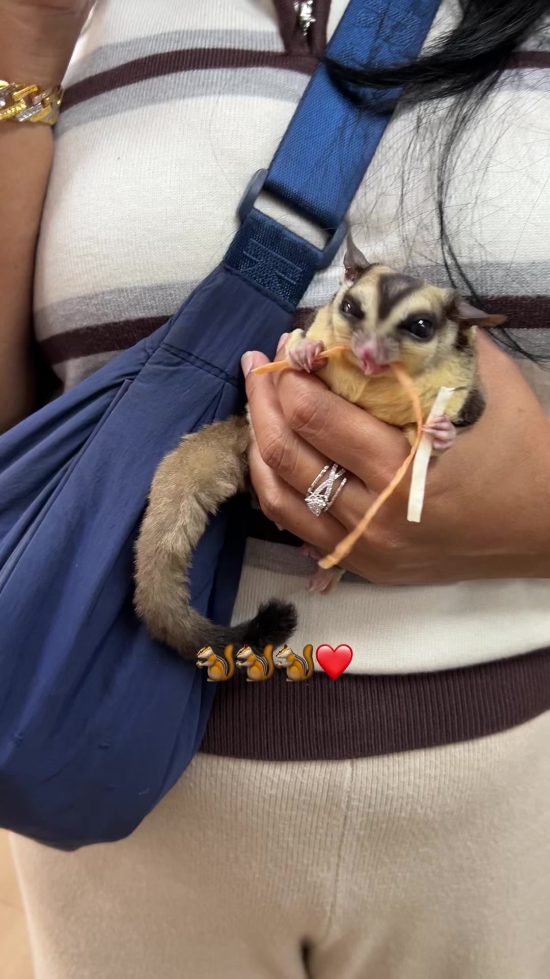 @jesugarglider.id1