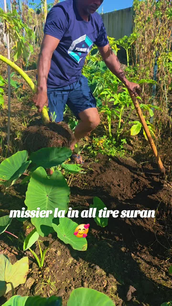 @💛An 2803 kiran Anju💛