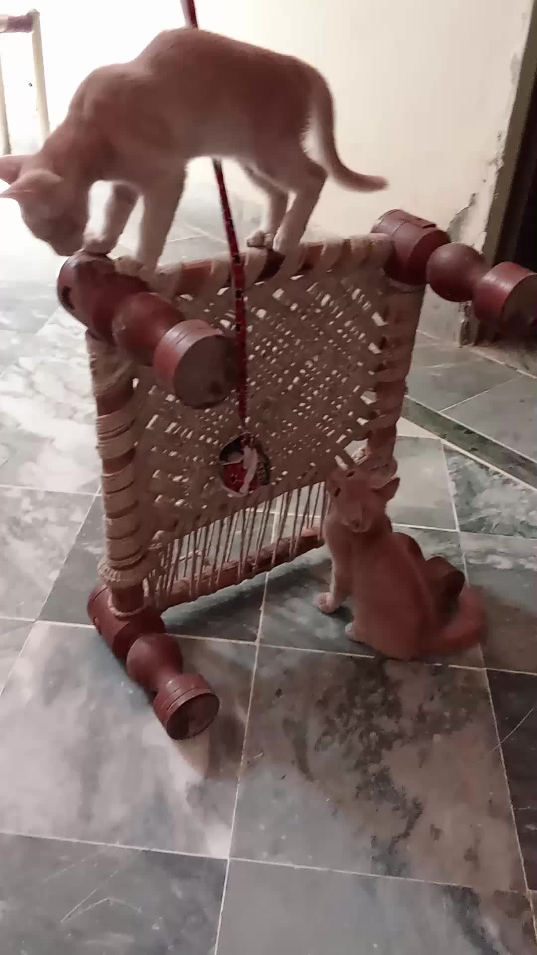 @cutecatlover8172