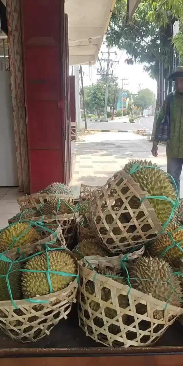 @Kenzhi Durian Tuban
