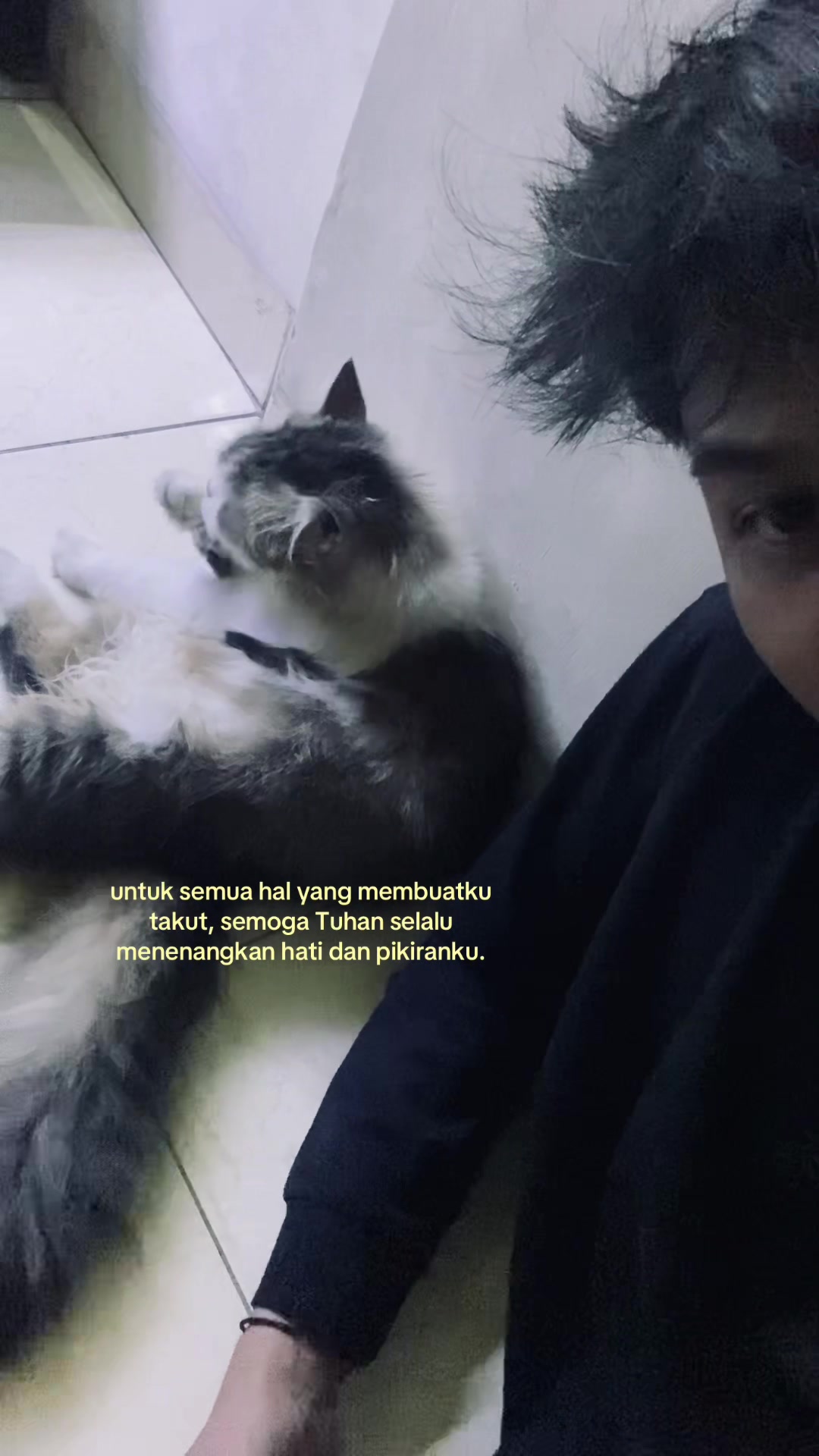 @ig. apinnofr_
