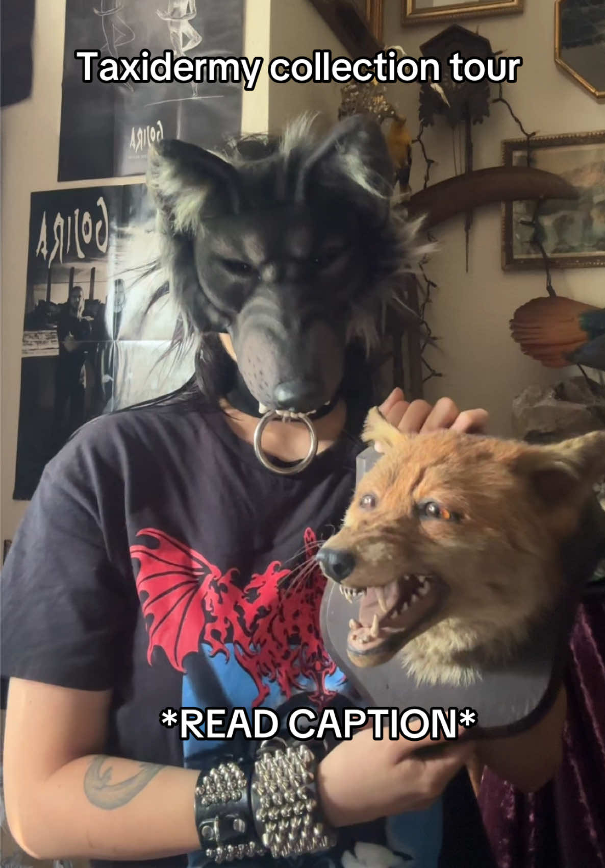 @XlycanbloodXx 𓃦