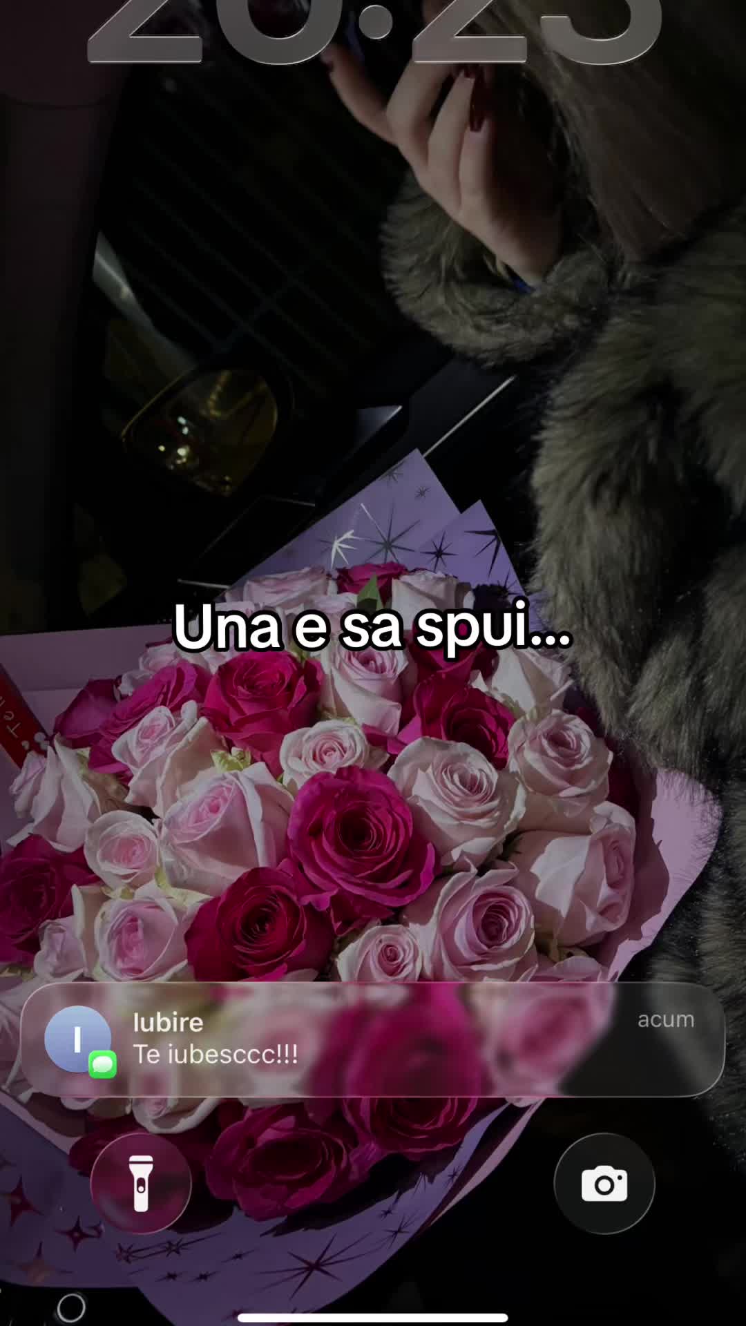@rotherose_
