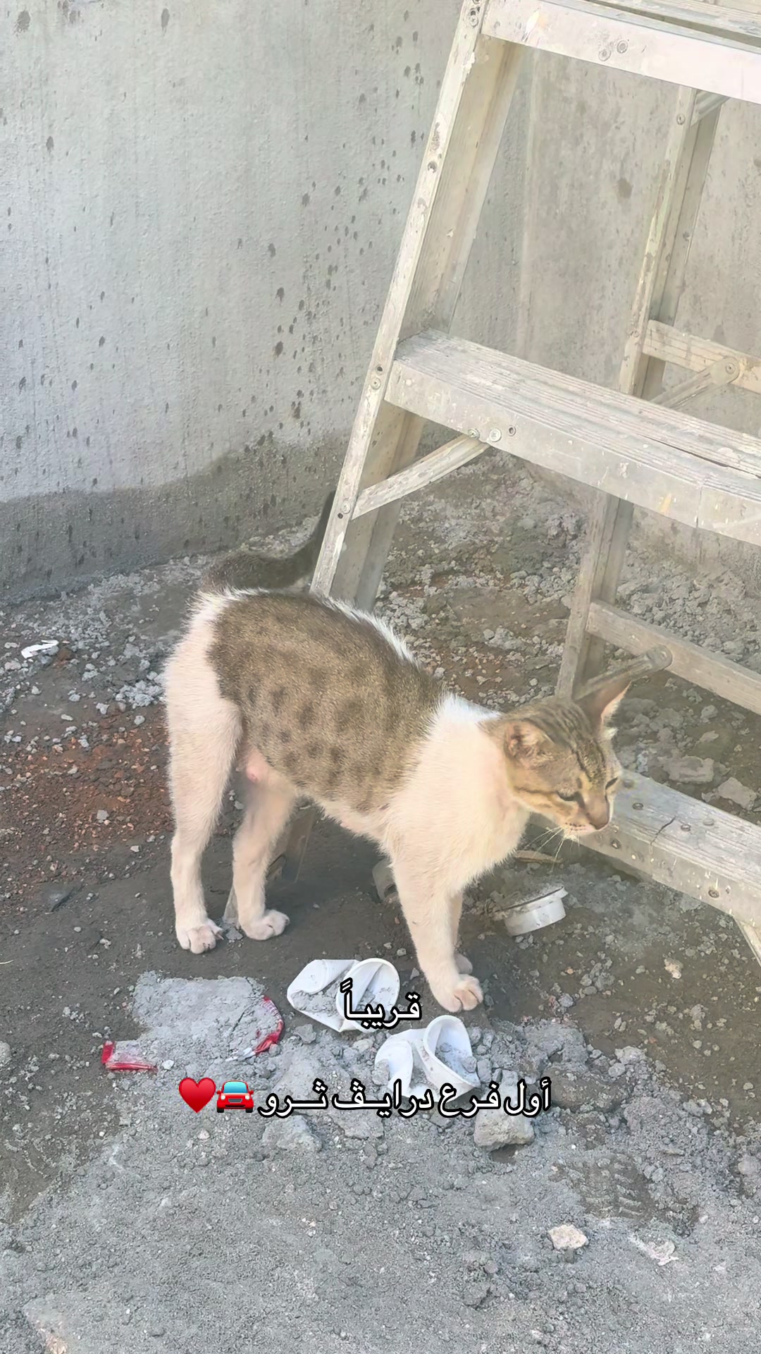 @كوفي غاء