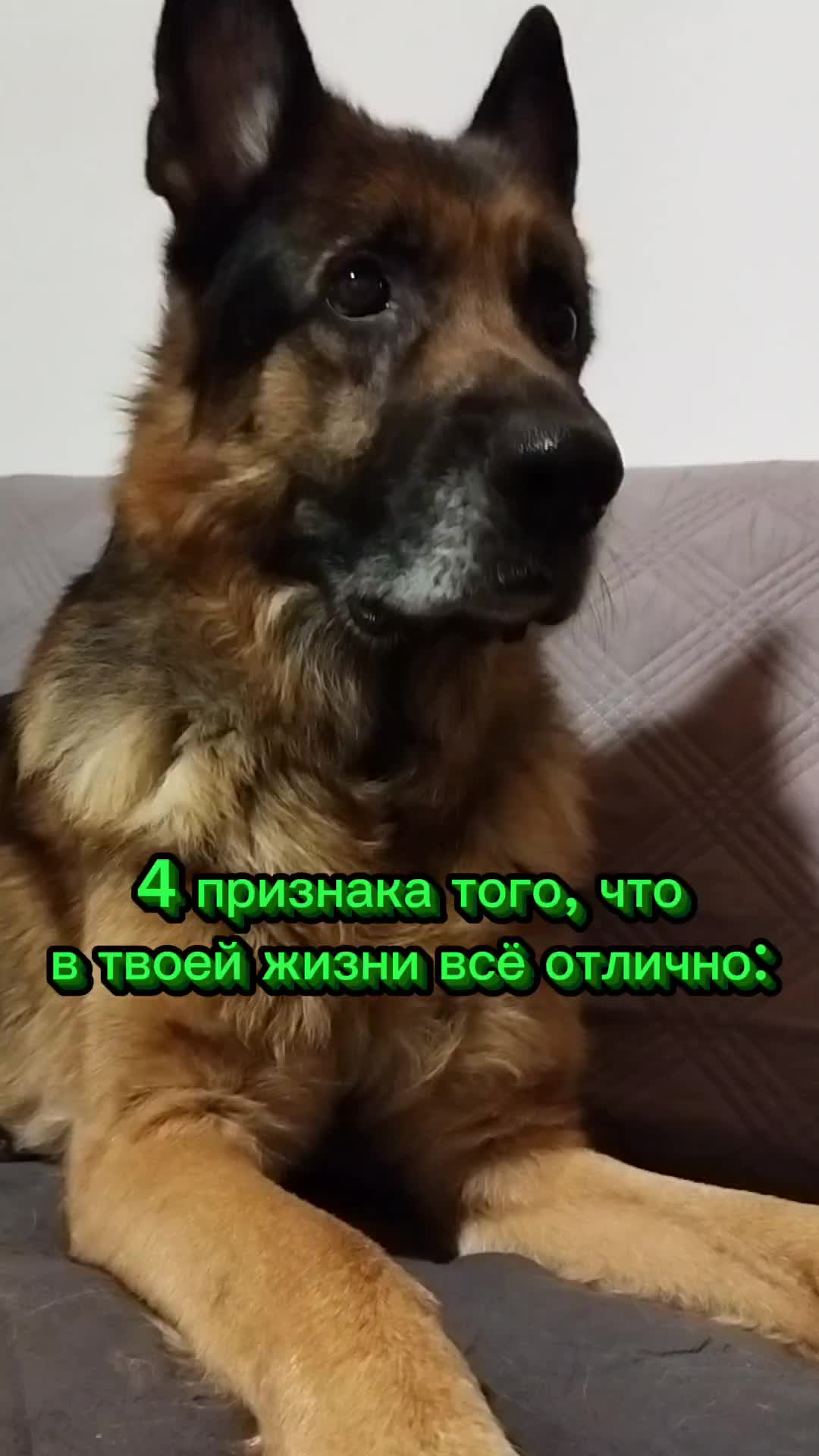 @oskar_mrpl
