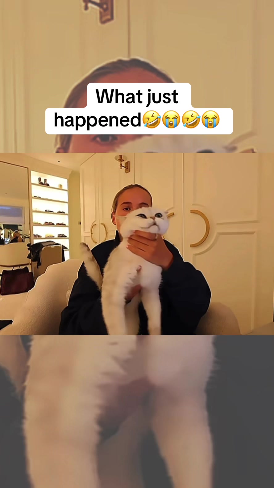 @dailyclipz