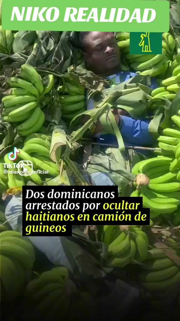 @NIKO REALIDAD
