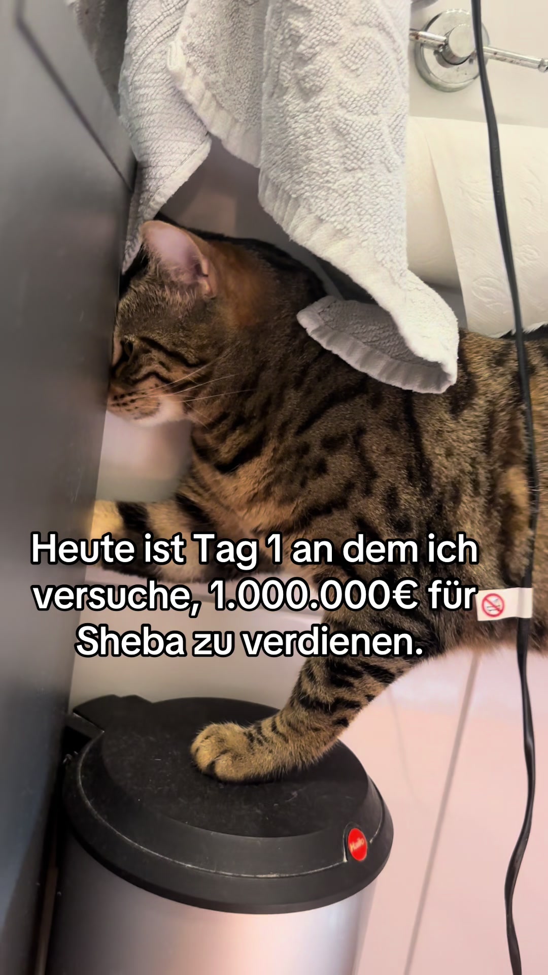 @Mirjam
