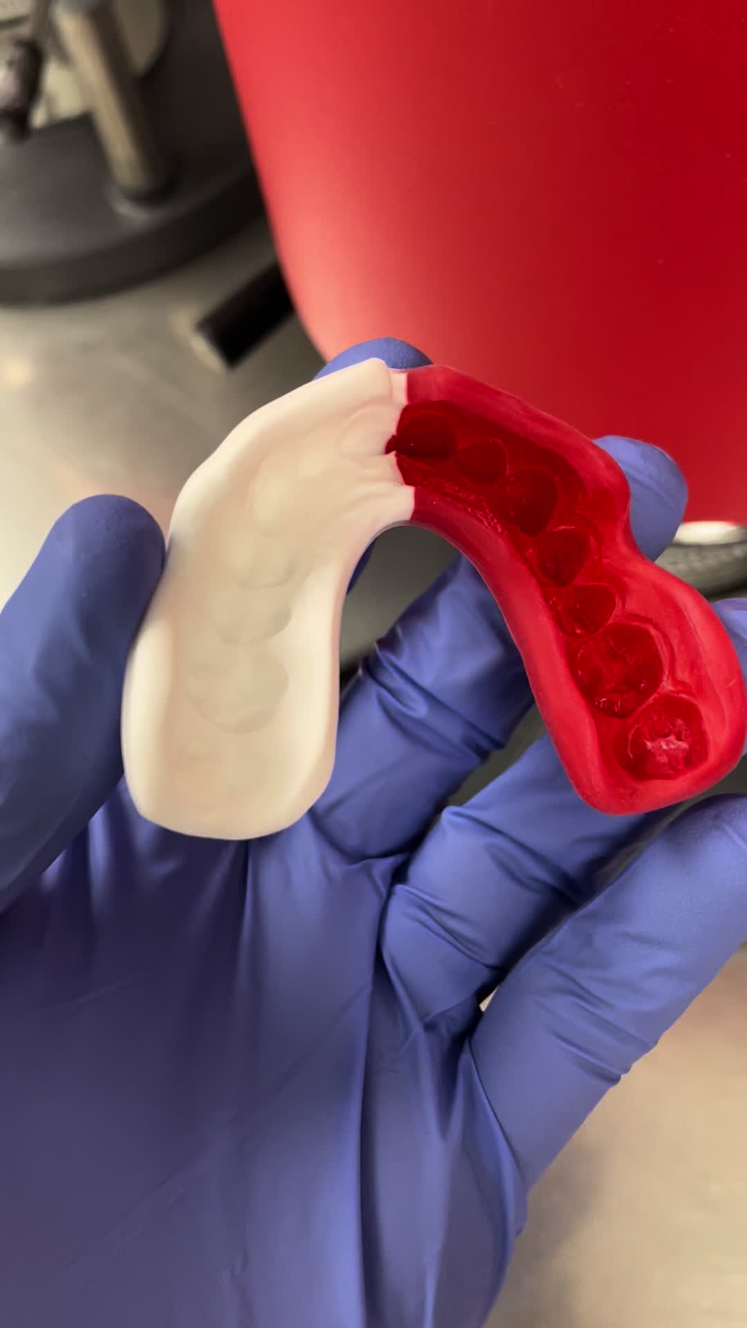 @Gumz Gumshields