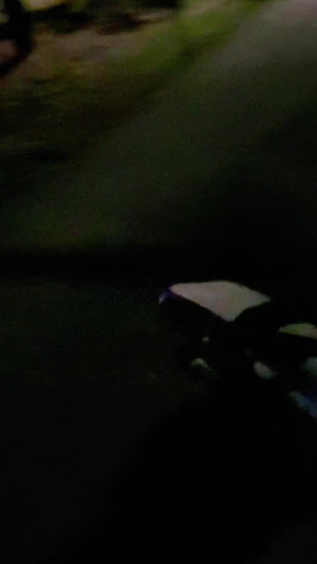 @ThunderingDiesel