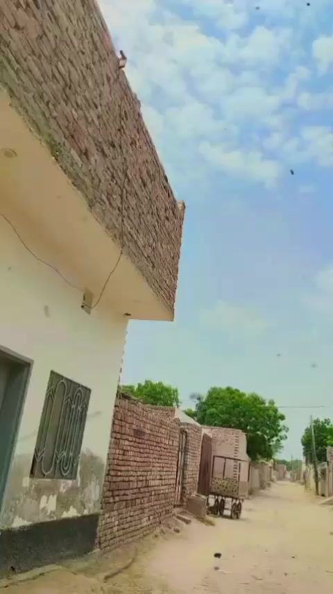 @🔥کاشی بٹ🤟