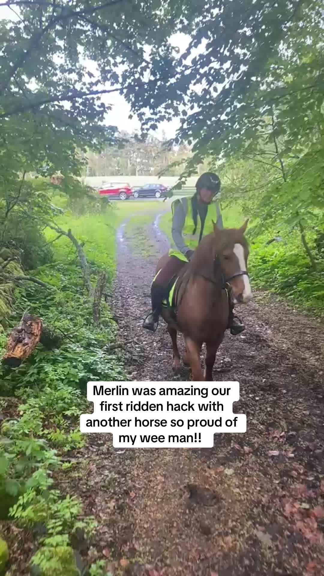@Claire & Merlin Adventures