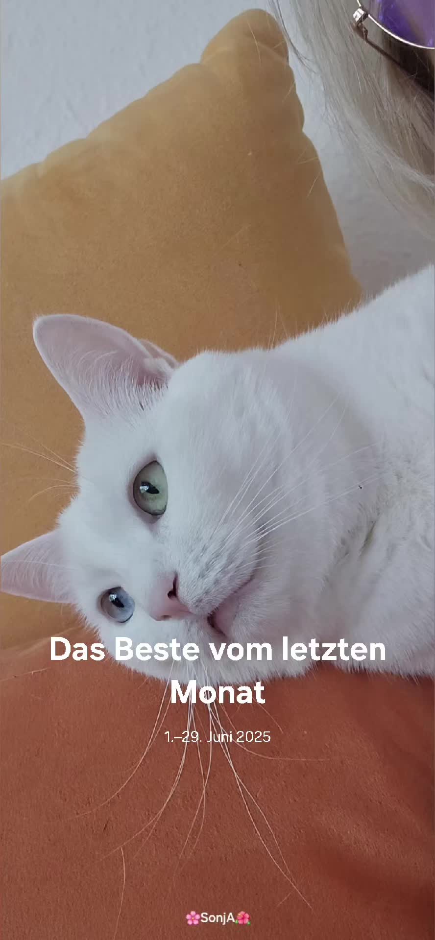 @Sonja