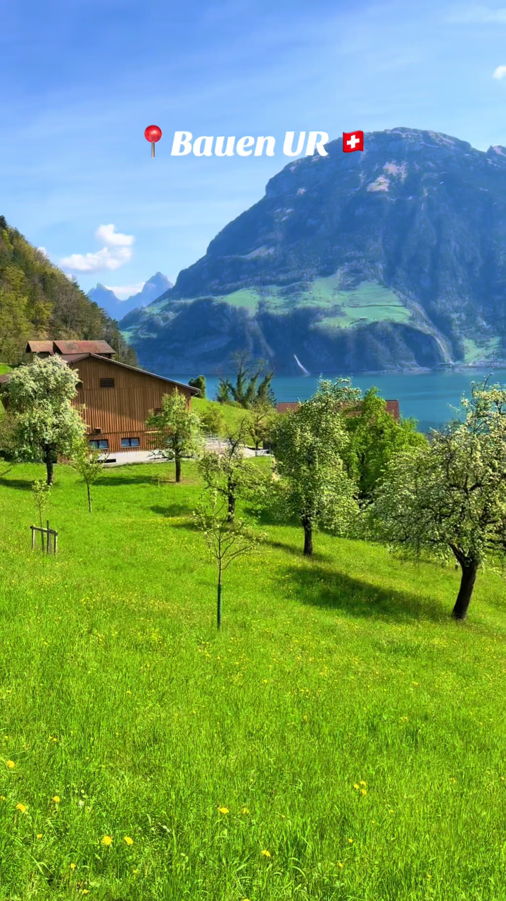 @swiss_alps