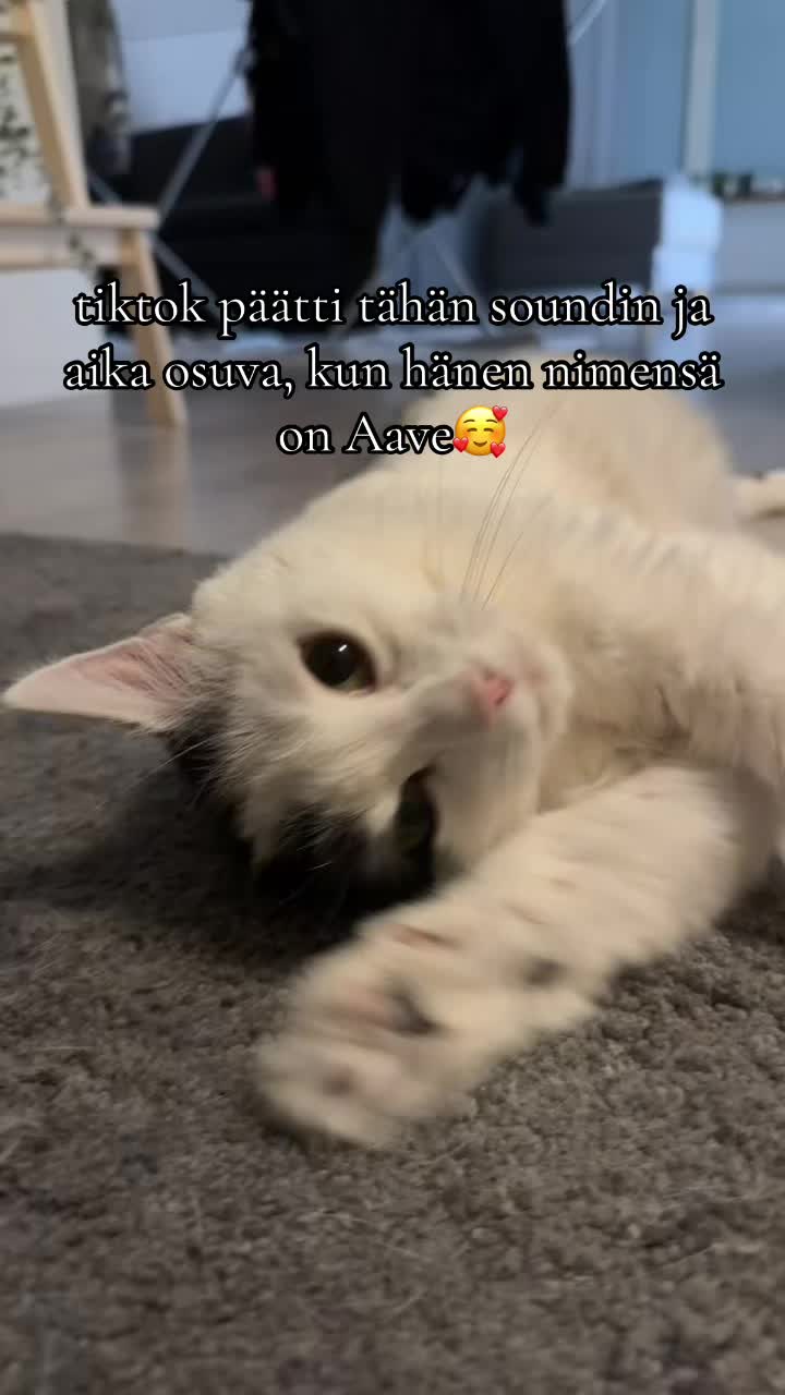 @ansku🩶